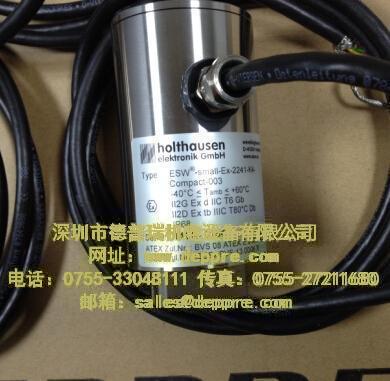 HOLTHAUSEN傳感器